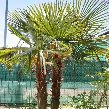 לינה וארוחת בוקר Sartori